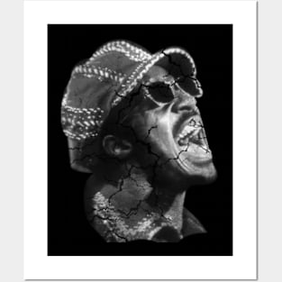 Stevie Wonder Posters and Art